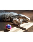 За котета - играчки | 189.bg